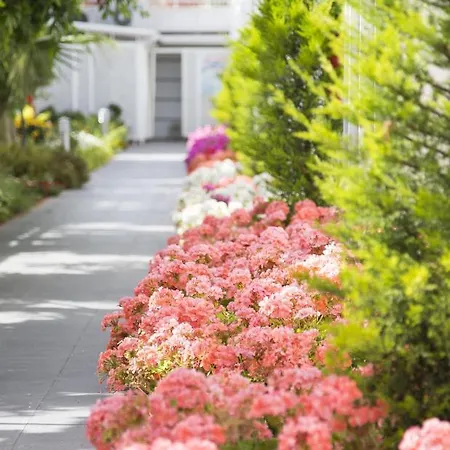 Курортный комплекс Sun Club 4*